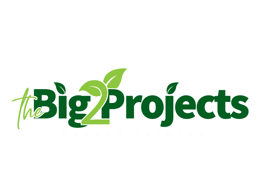 The Big2 Projects