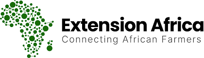 Extension Africa